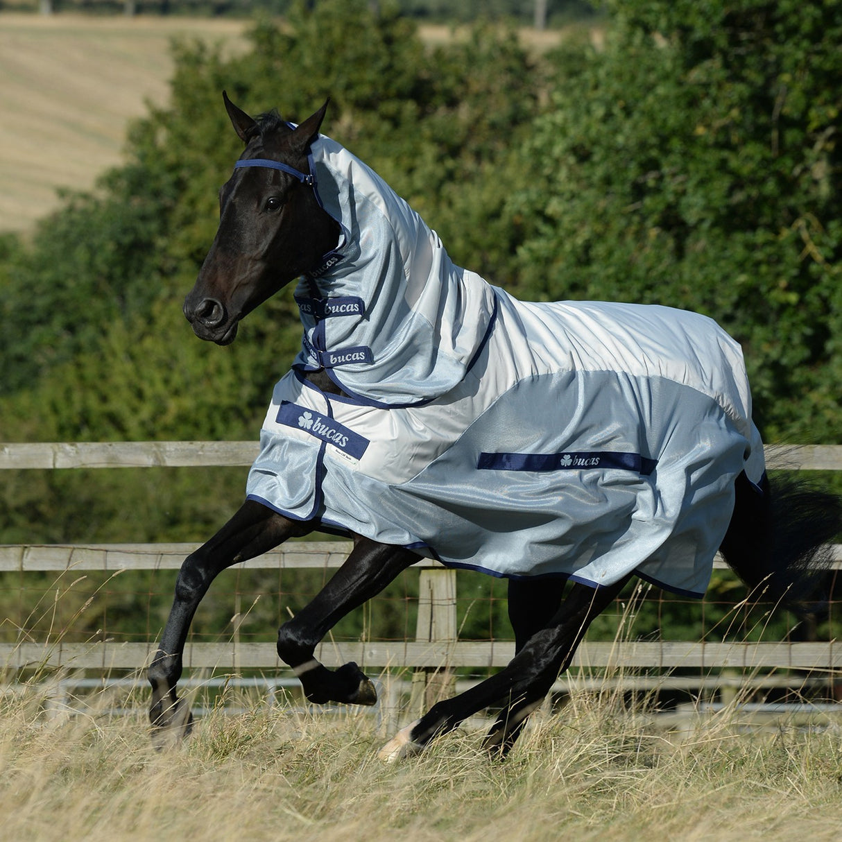 Bucas Buzz Off Rain W- Detachable Neck