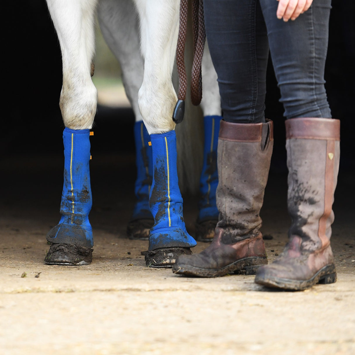 Equilibrium Equi-Chaps Contact étroit