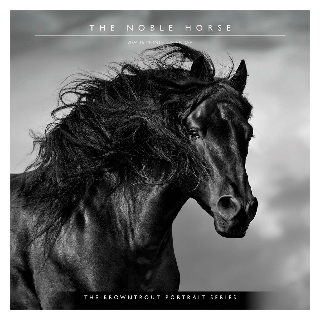 BrownTrout The Noble Horse Portrait Series 2024 Square Calendar