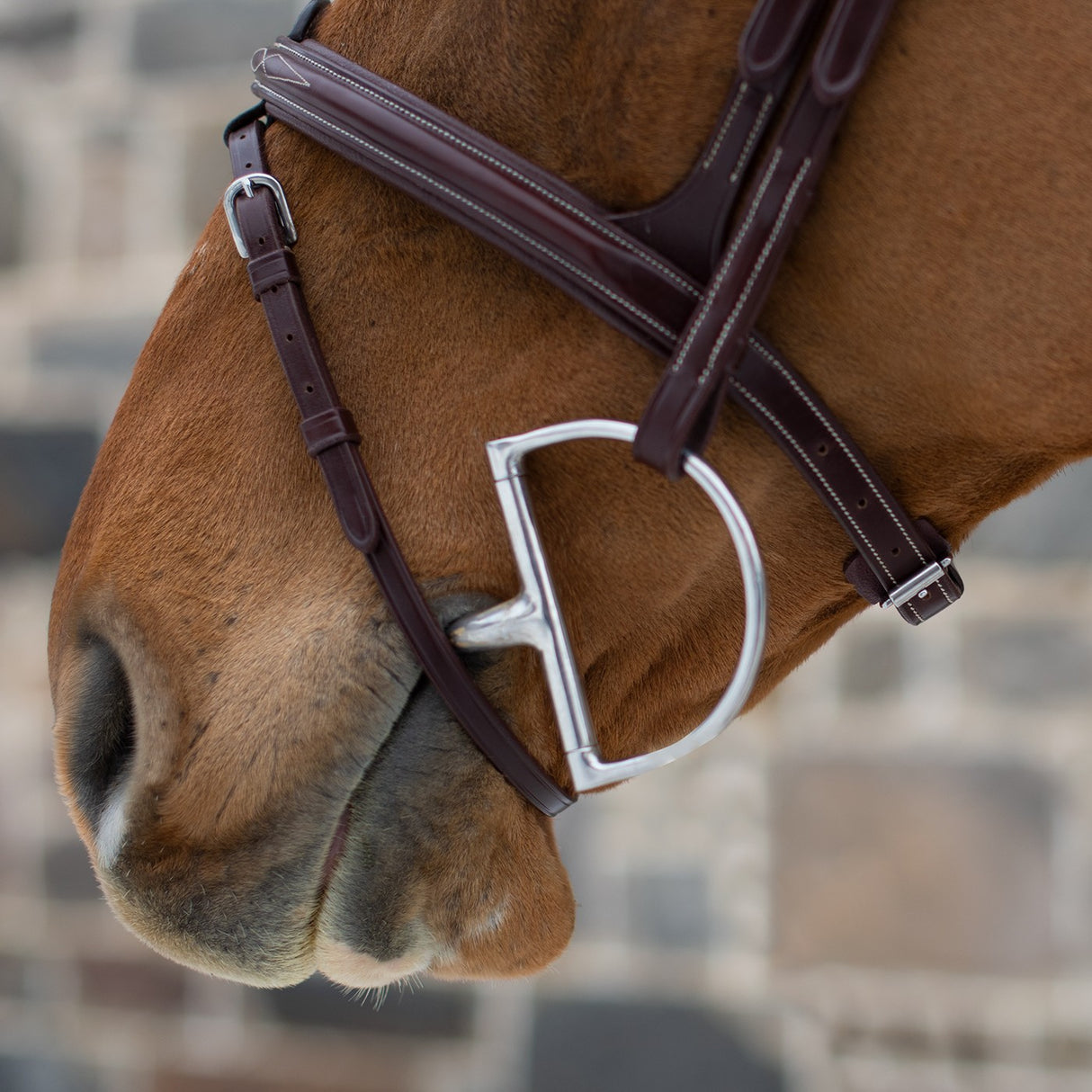 Mondega Doppio Comfort Poll Fancy Stitched Bridle
