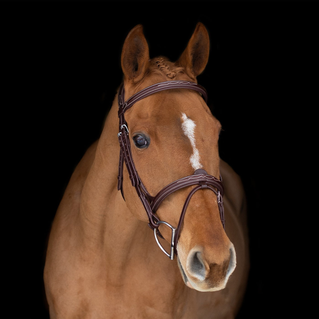 Mondega Doppio Comfort Poll Fancy Stitched Bridle