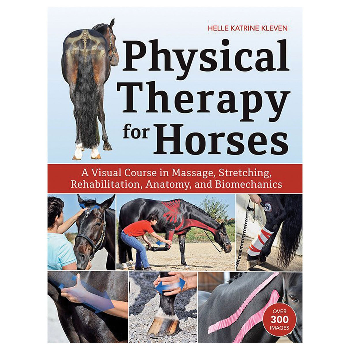 Physiothérapie pour chevaux