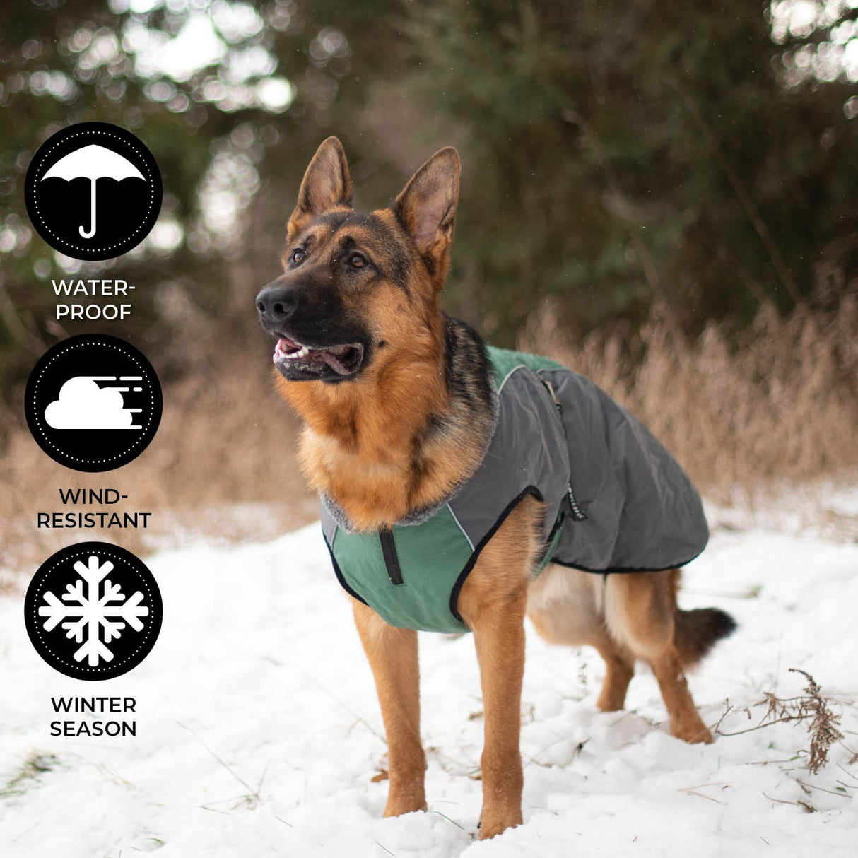 Shedrow K9 Chinook Dog Coat