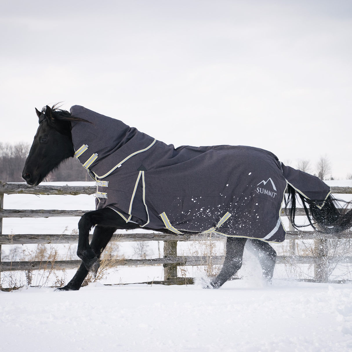 Summit North Combo Turnout 100 g W- Liner 200 gm