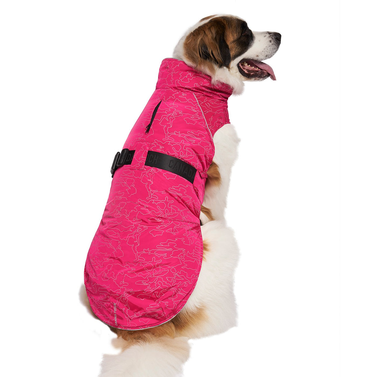 Canada Pooch The Expedition Dog Coat 2.0
