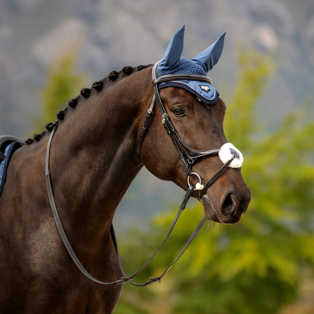 LeMieux Loire Fly Hood