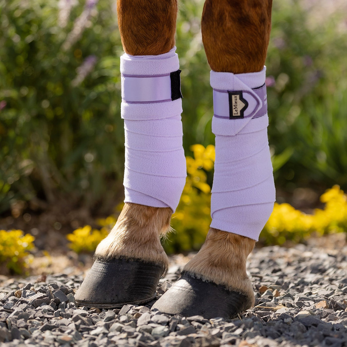 LeMieux Loire Polo Bandages