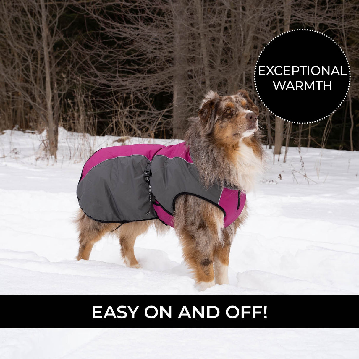 Manteau pour chien Shedrow K9 Chinook