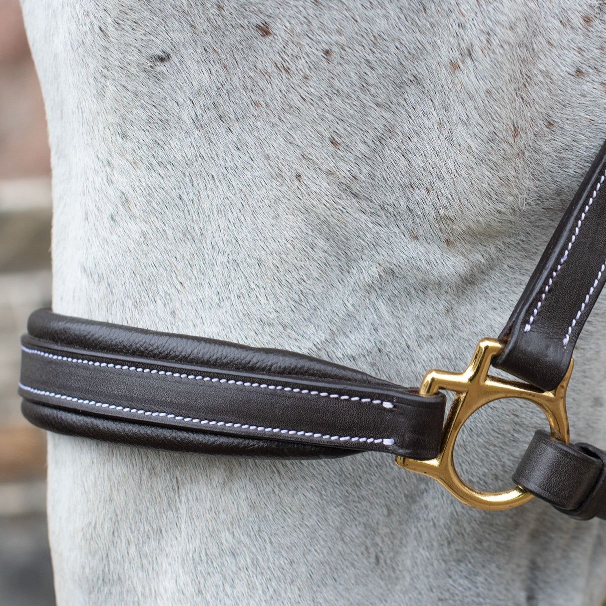 Val du Bois Comfort Soft Padded Leather Halter