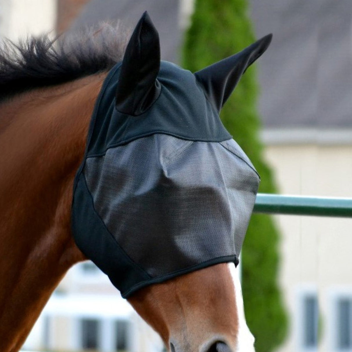 Absorbine Ultrashield Fly Mask W- Ears