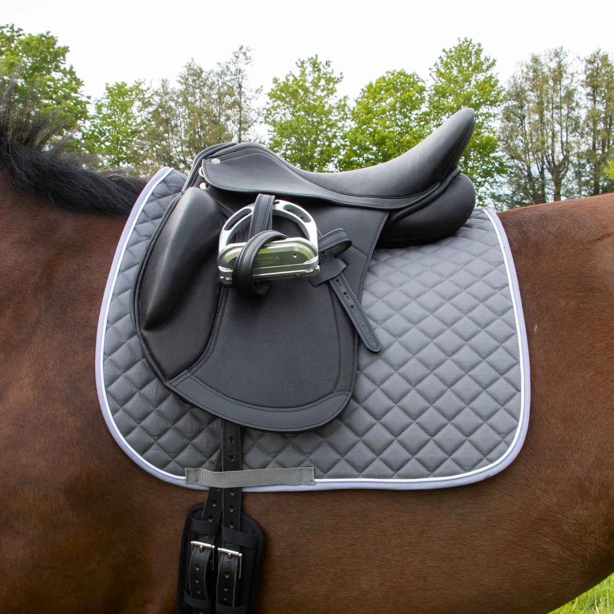 Shedrow Original Saddle Pad - Dressage