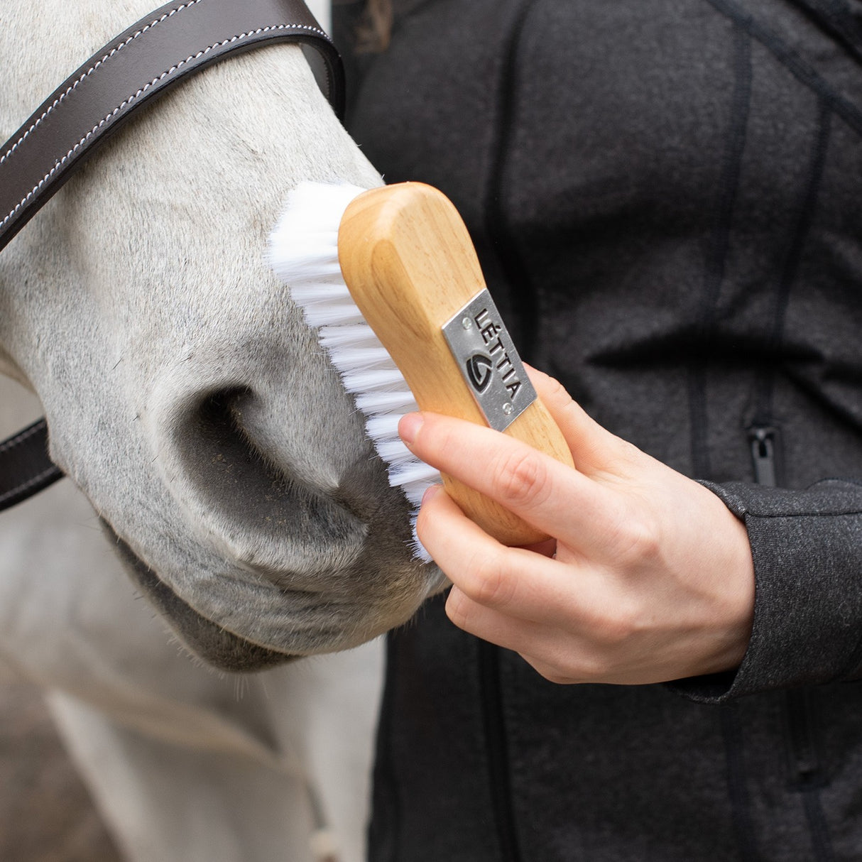 Union Hill Lettia Synthetic Goat Hair Face Brush