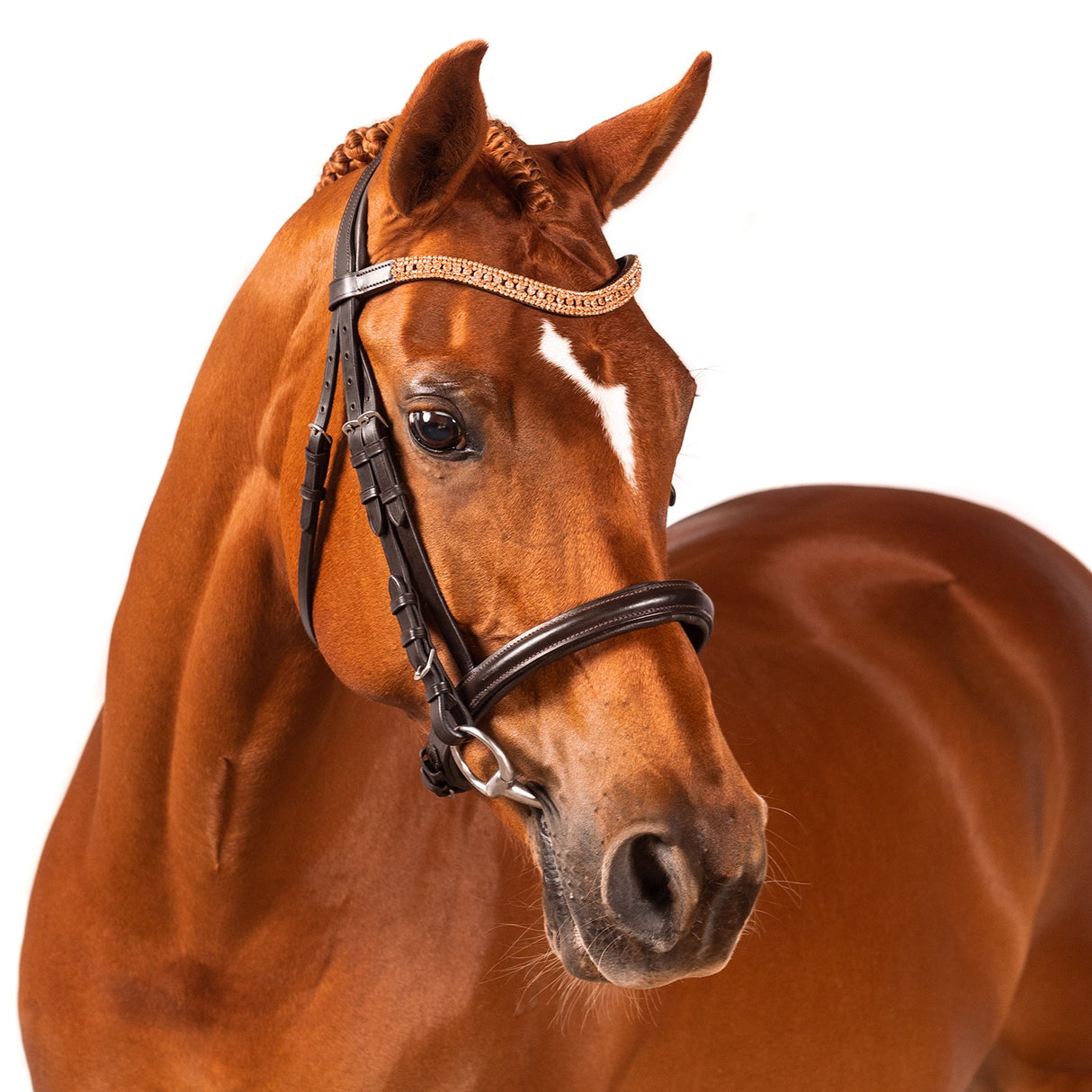 Bride de dressage FFE Princess Wave en or rose