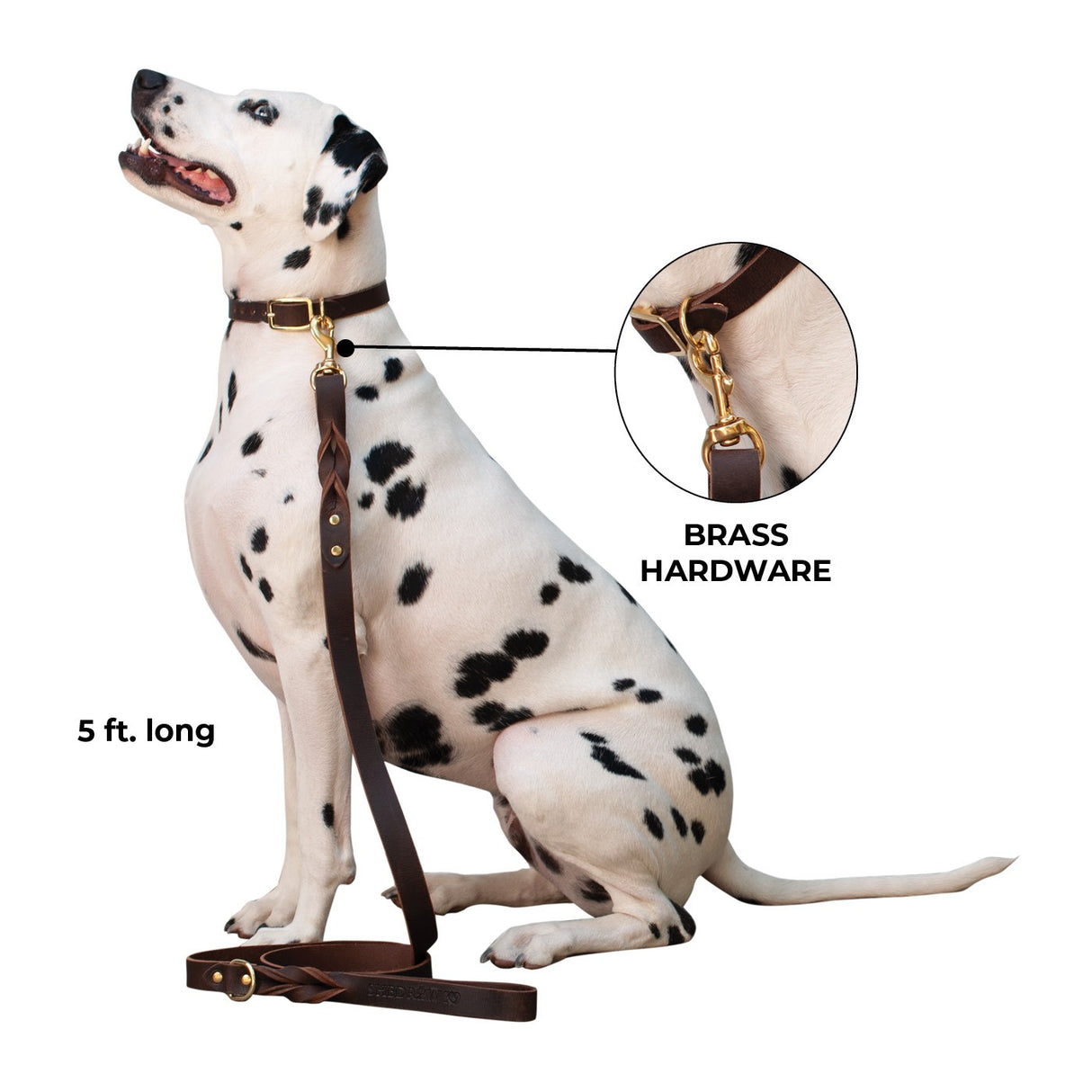 Shedrow K9 Bristol Laisse en cuir torsadé 5 pi.