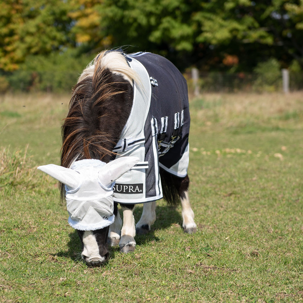 Supra Miniature Fly Sheet W- Belly Band & Fly Mask