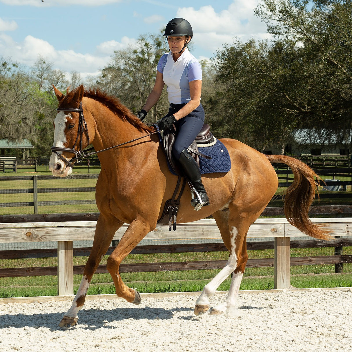 Equinavia Martha Chemise de concours à manches courtes