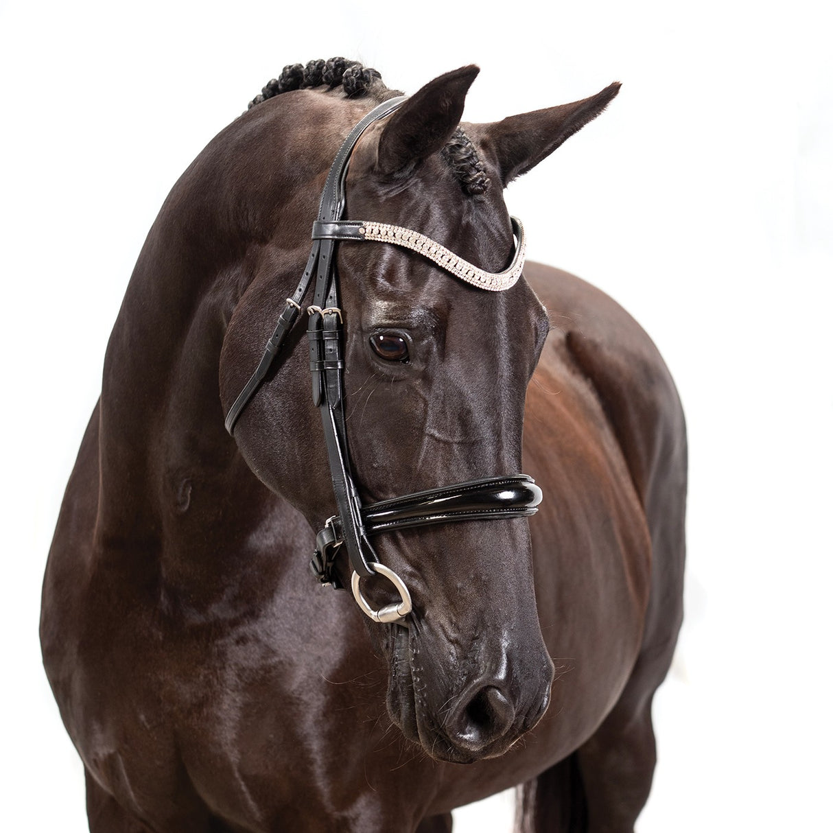 Bridon de dressage breveté FFE Couture