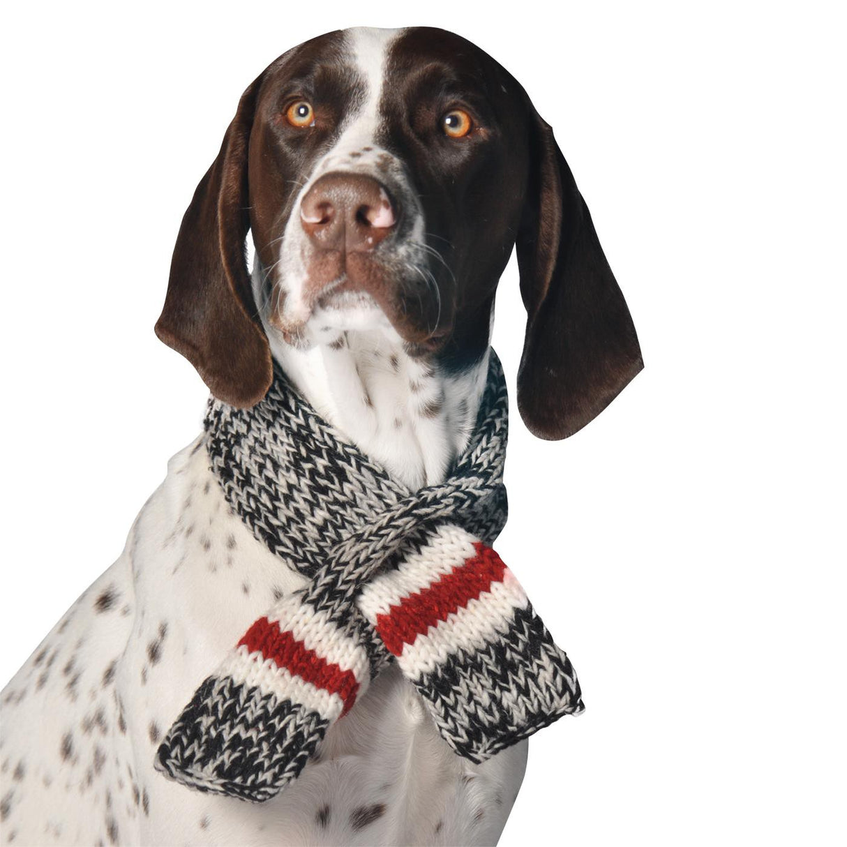 Chilly Dog Boyfriend Wool Scarf