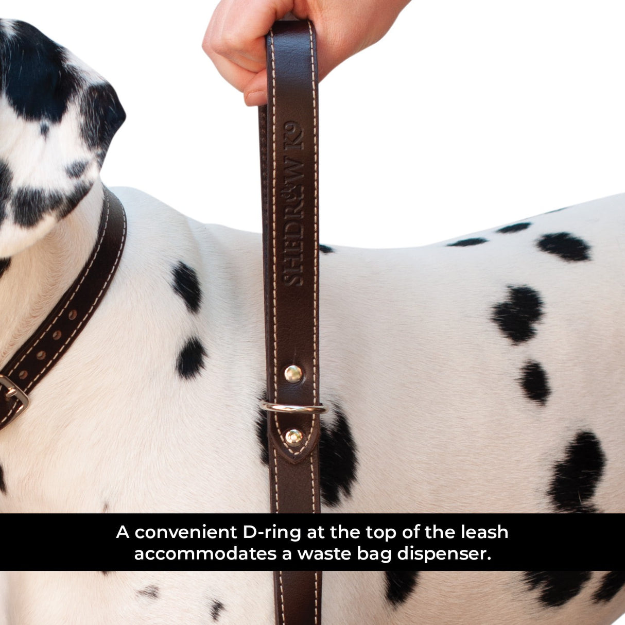 Shedrow K9 Richmond Top Stitch Leather Leash 5 Ft.