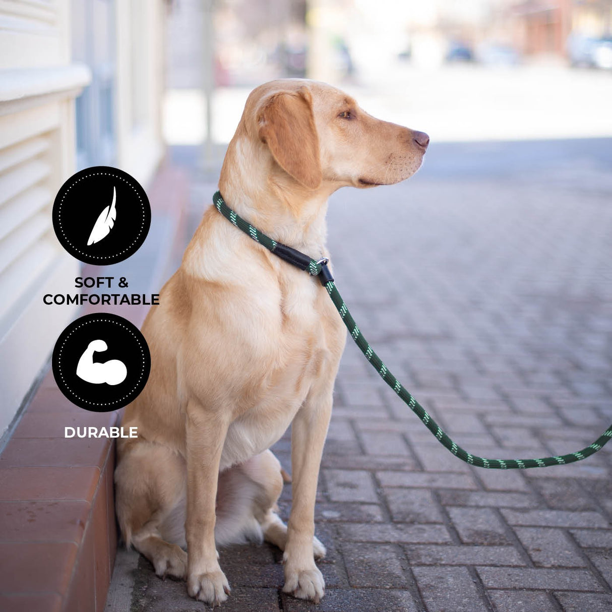 Laisse coulissante en corde Shedrow K9 Camino