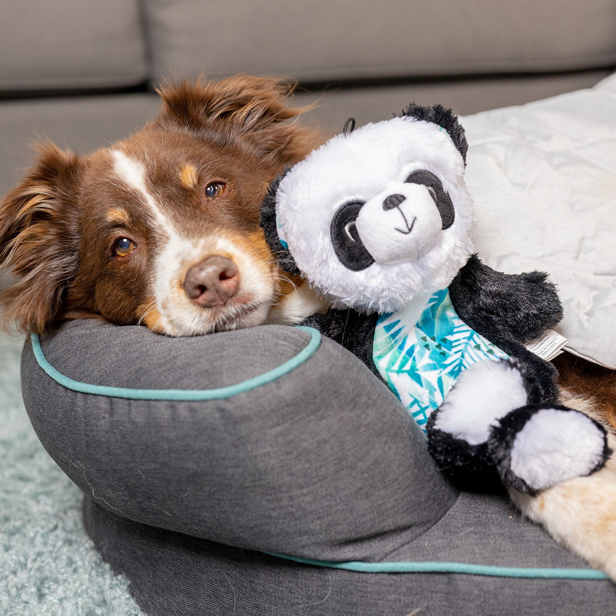 Lulubelles Power Plush Pauly Panda Dog Toy