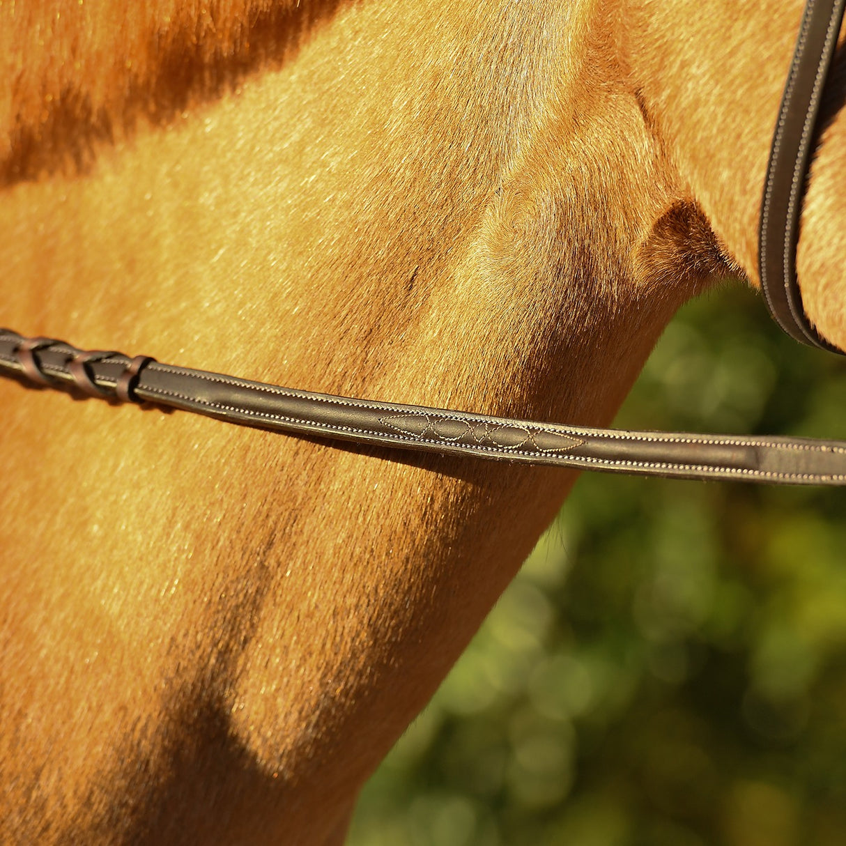 Rênes cousues fantaisie surélevées Belle & Bow - Poney