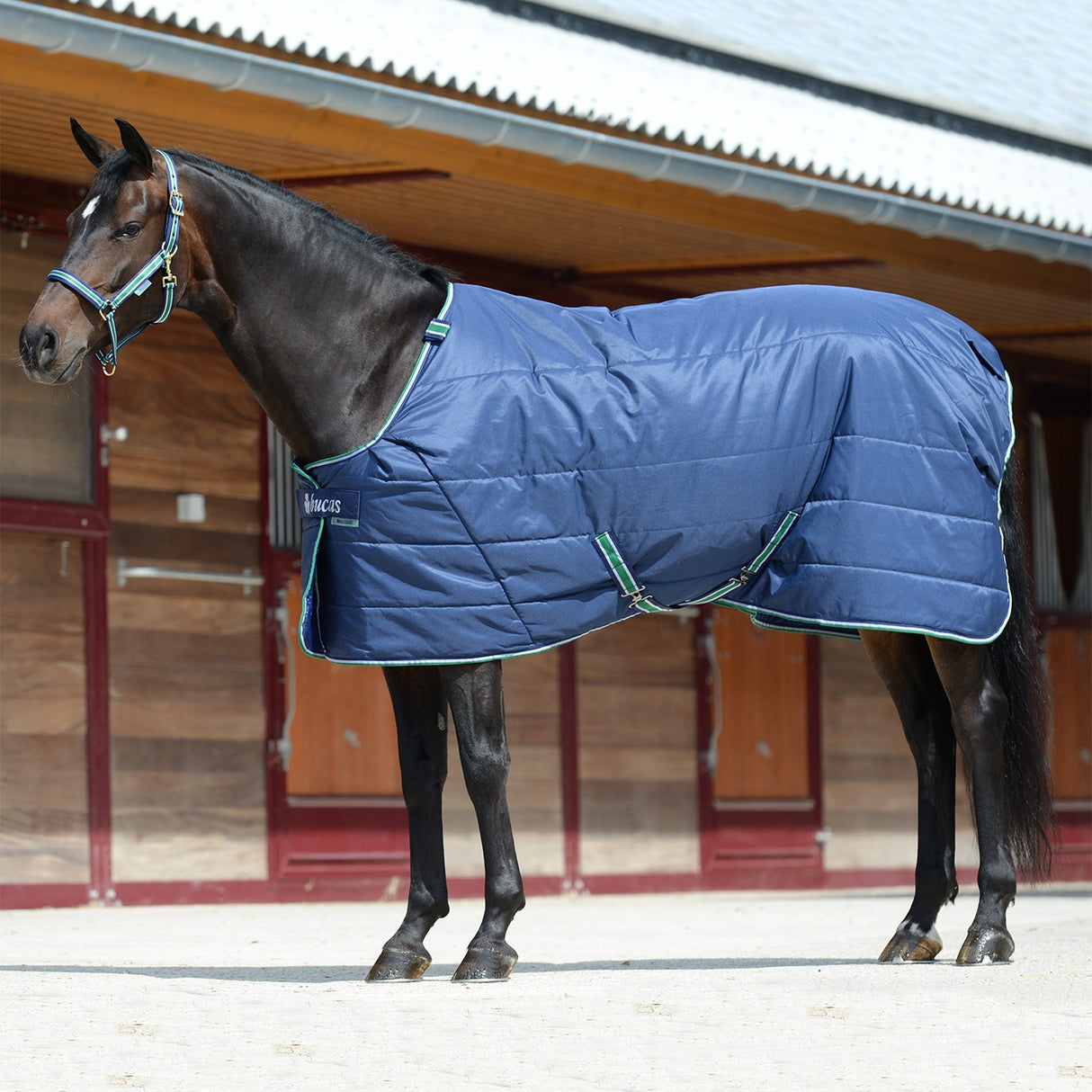 Bucas Couette au toucher soyeux 150 g