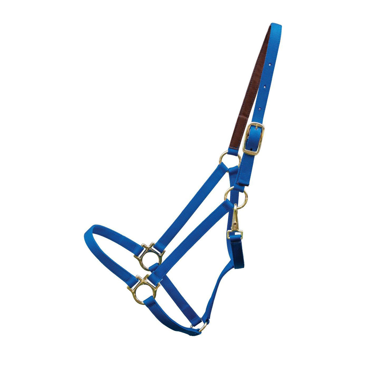 Shedrow Deluxe 3-4 po. Licou
