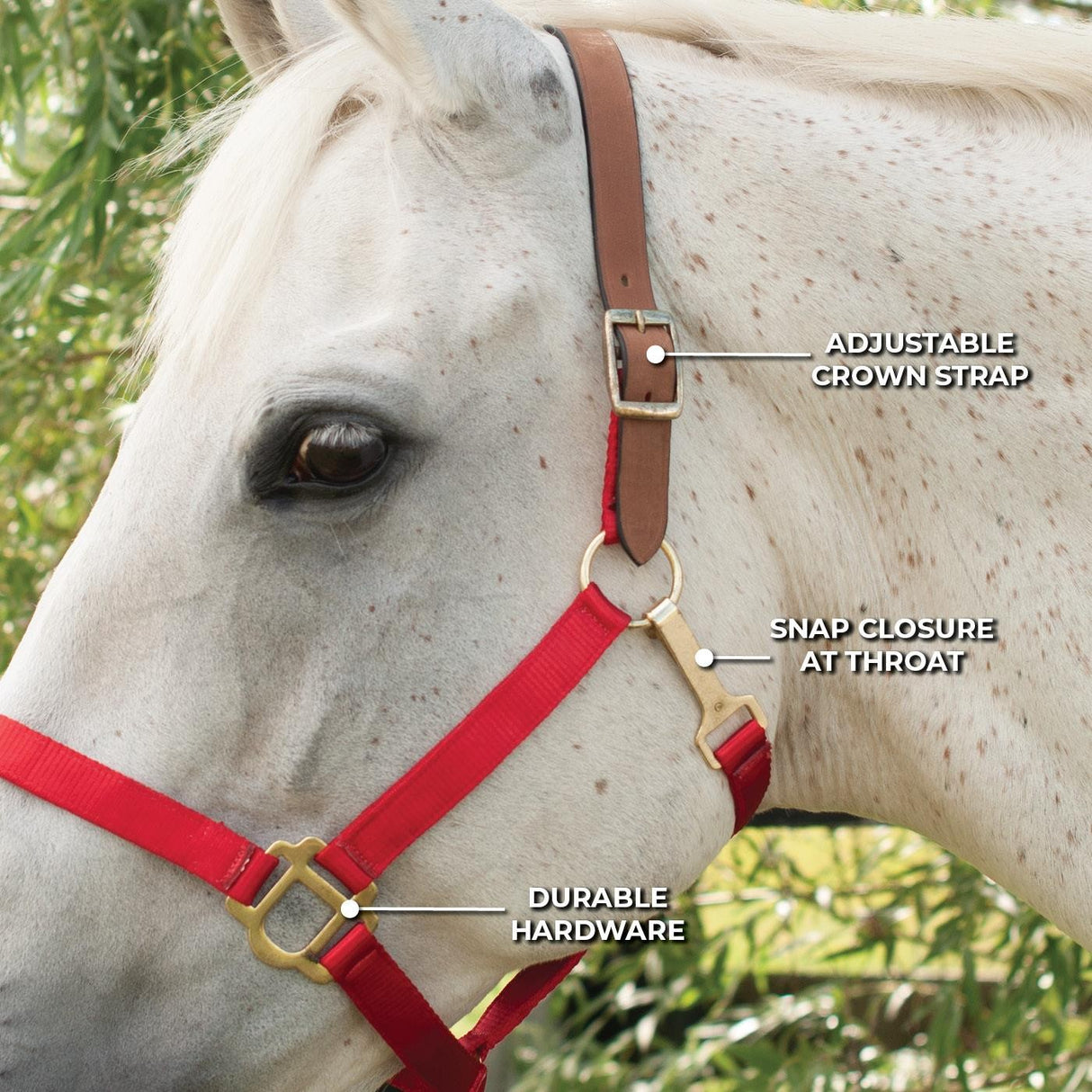Supra Nylon Halter W- Leather Crown