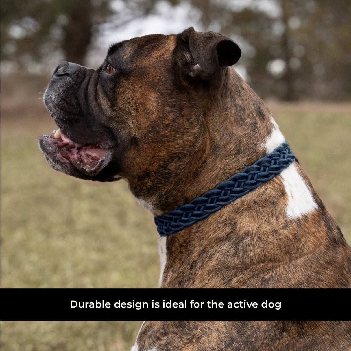 Shedrow K9 Rideau Corde tressée et collier en cuir