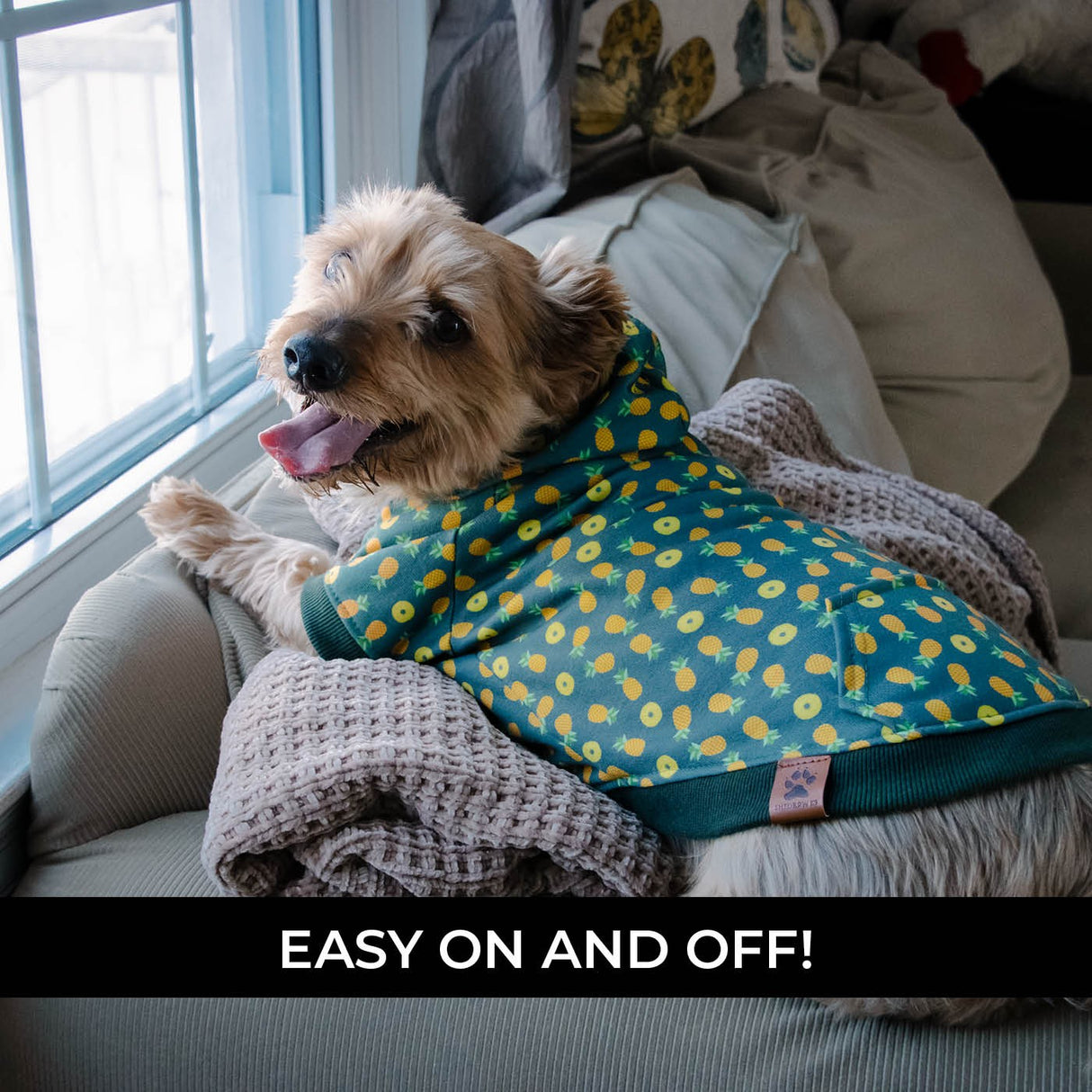 Sweat à capuche pour chien Shedrow K9 Canmore