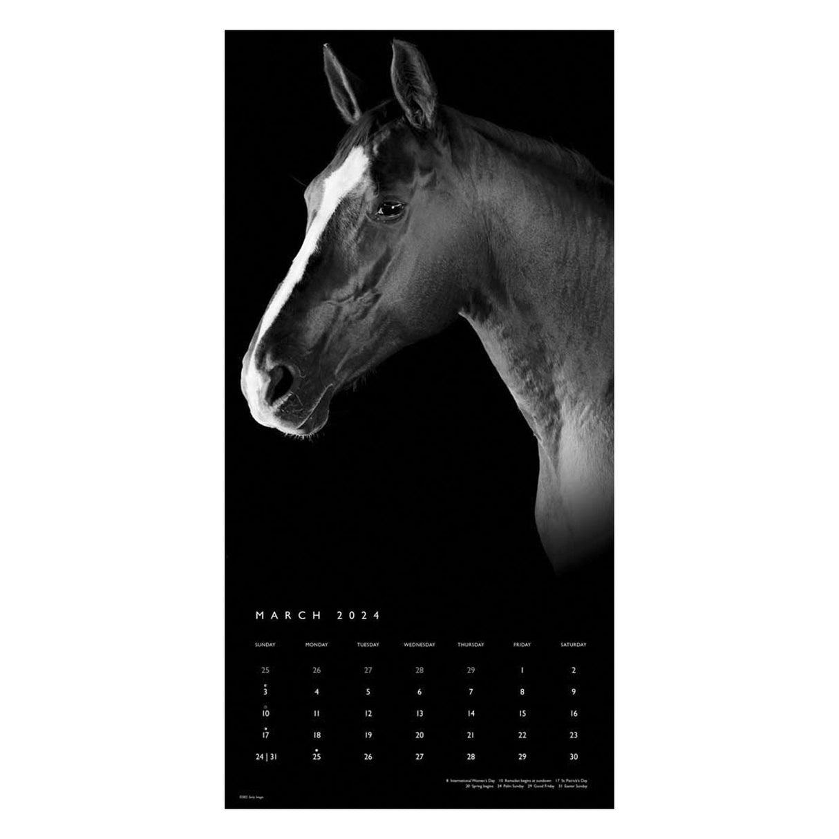 BrownTrout The Noble Horse Portrait Series 2024 Square Calendar