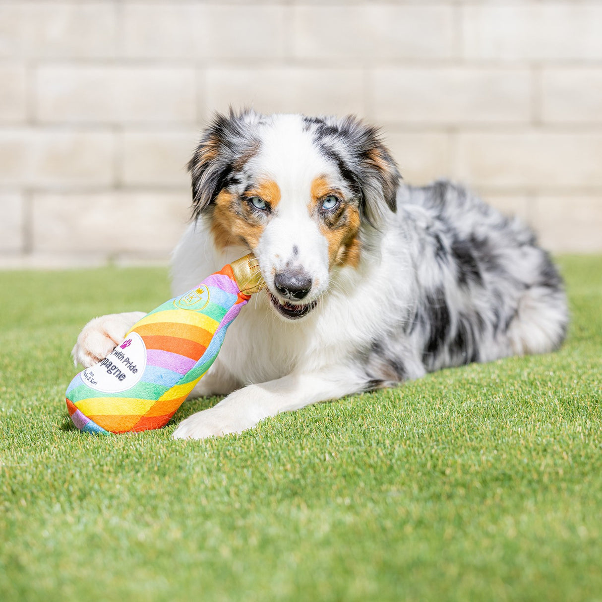 Jouet pour chien Lulubelles Power Plush Bubbling W- Pride