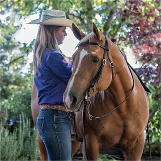 Copper Canyon Bridle Leather Browband Headstall W- Ties