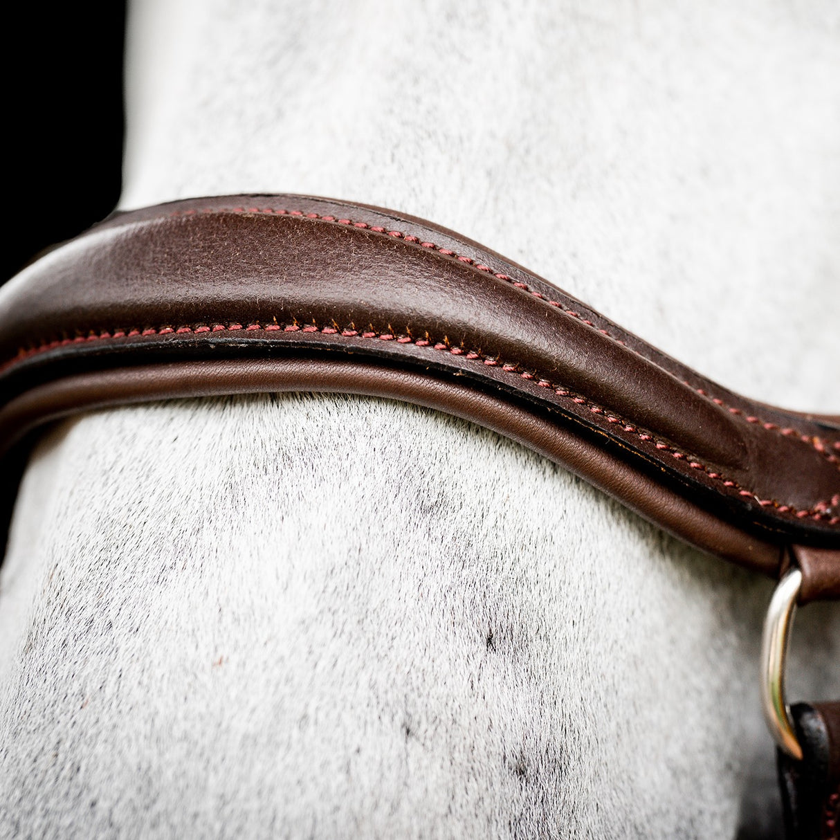 Rambo Micklem Deluxe Competition Bridle W- Reins