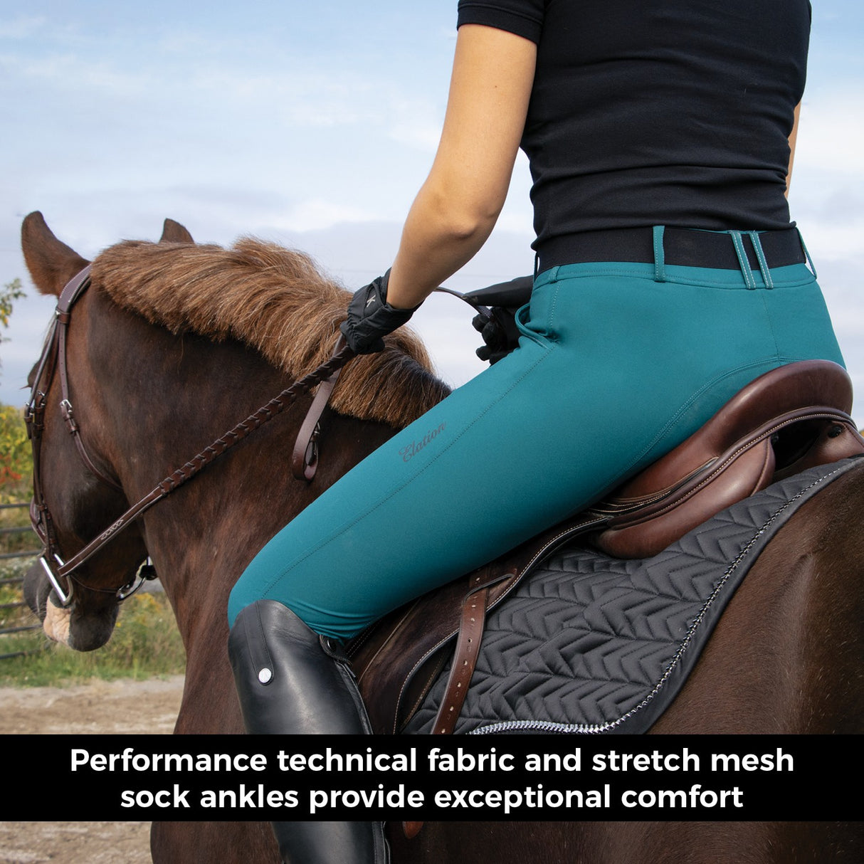 Elation Platinum Morgan Breech