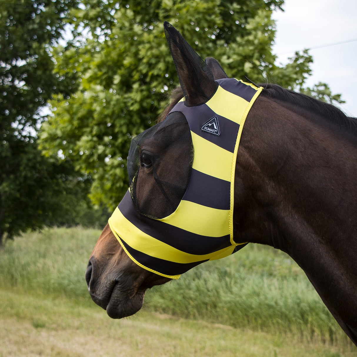 Summit Fly Mask W/ Forelock Hole