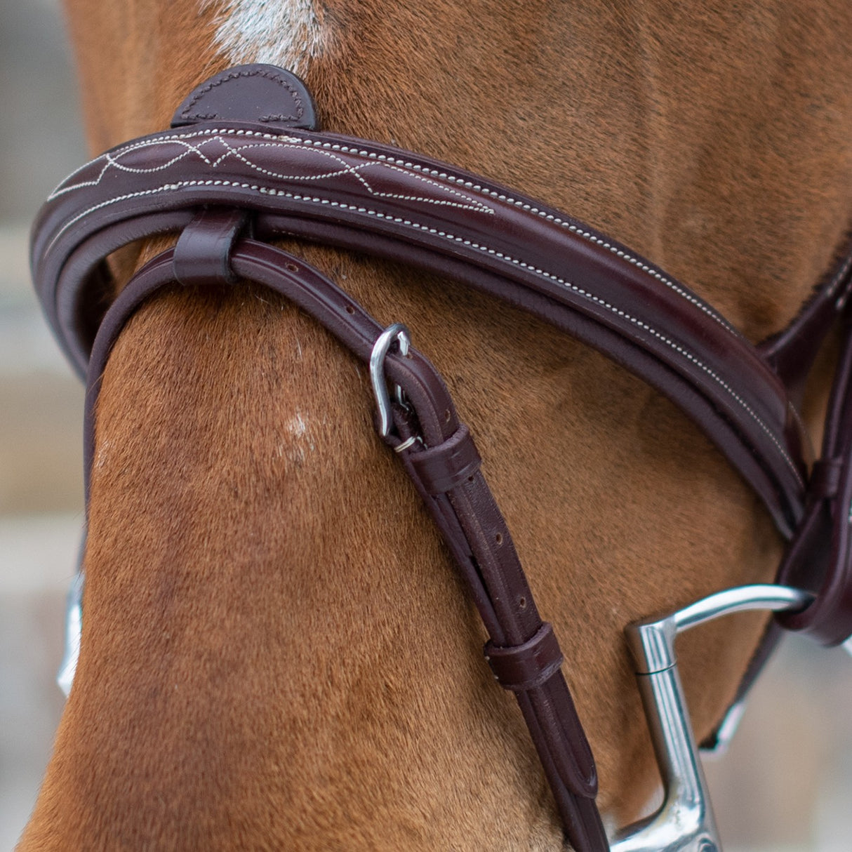 Mondega Doppio Comfort Poll Fancy Stitched Bridle