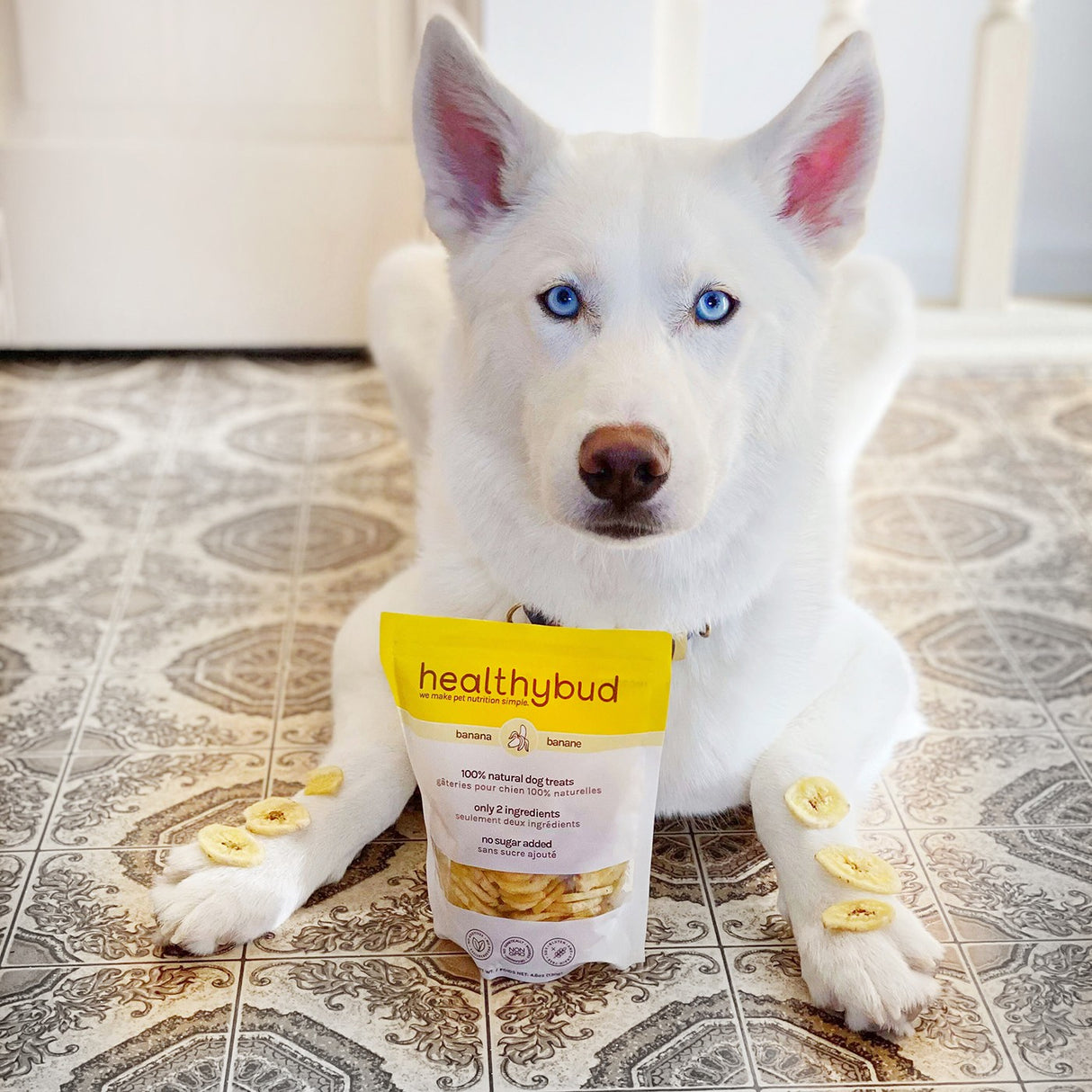 Healthybud Banana Chips Dog Treat 5.3 Oz
