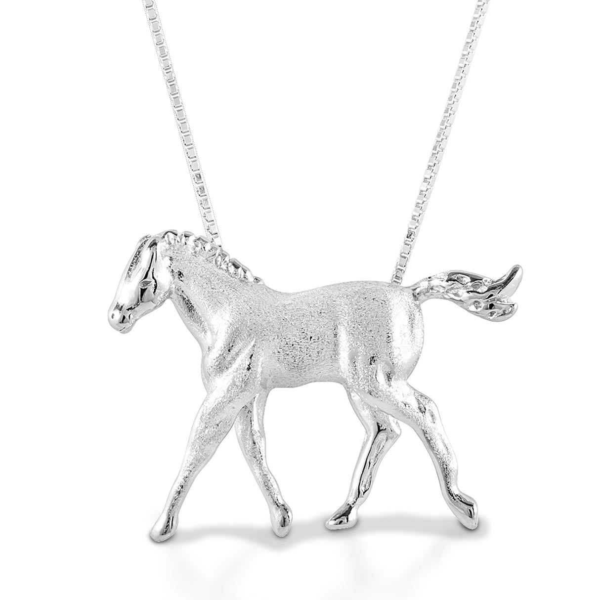 Collier de poulain au trot Kelly Herd