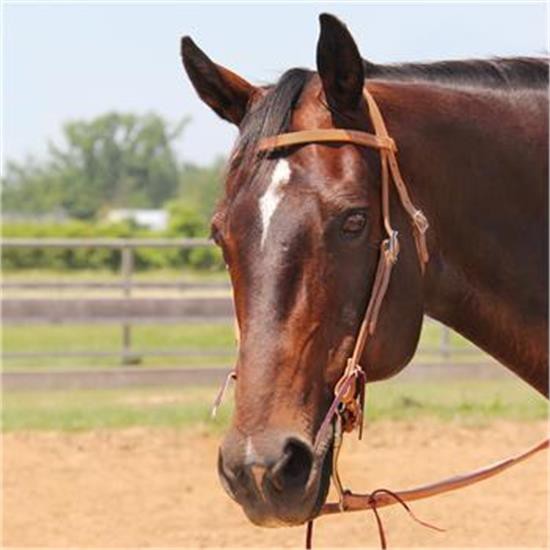 Copper Canyon Bridle Leather Browband Headstall W- Ties