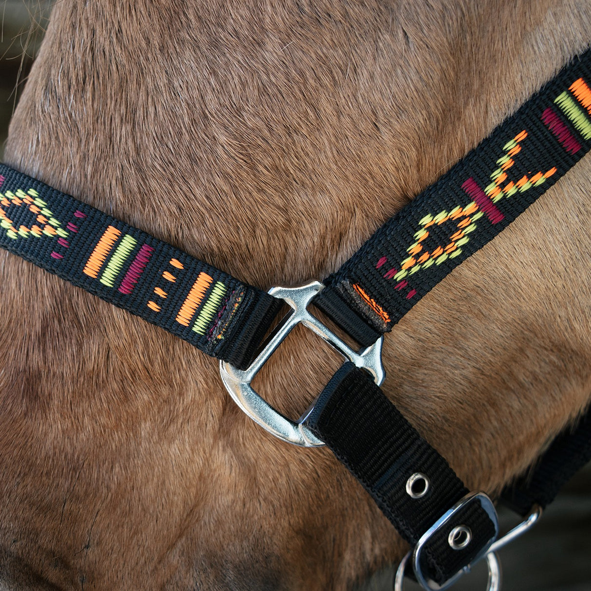 Licol Supra Navajo W- Breakaway