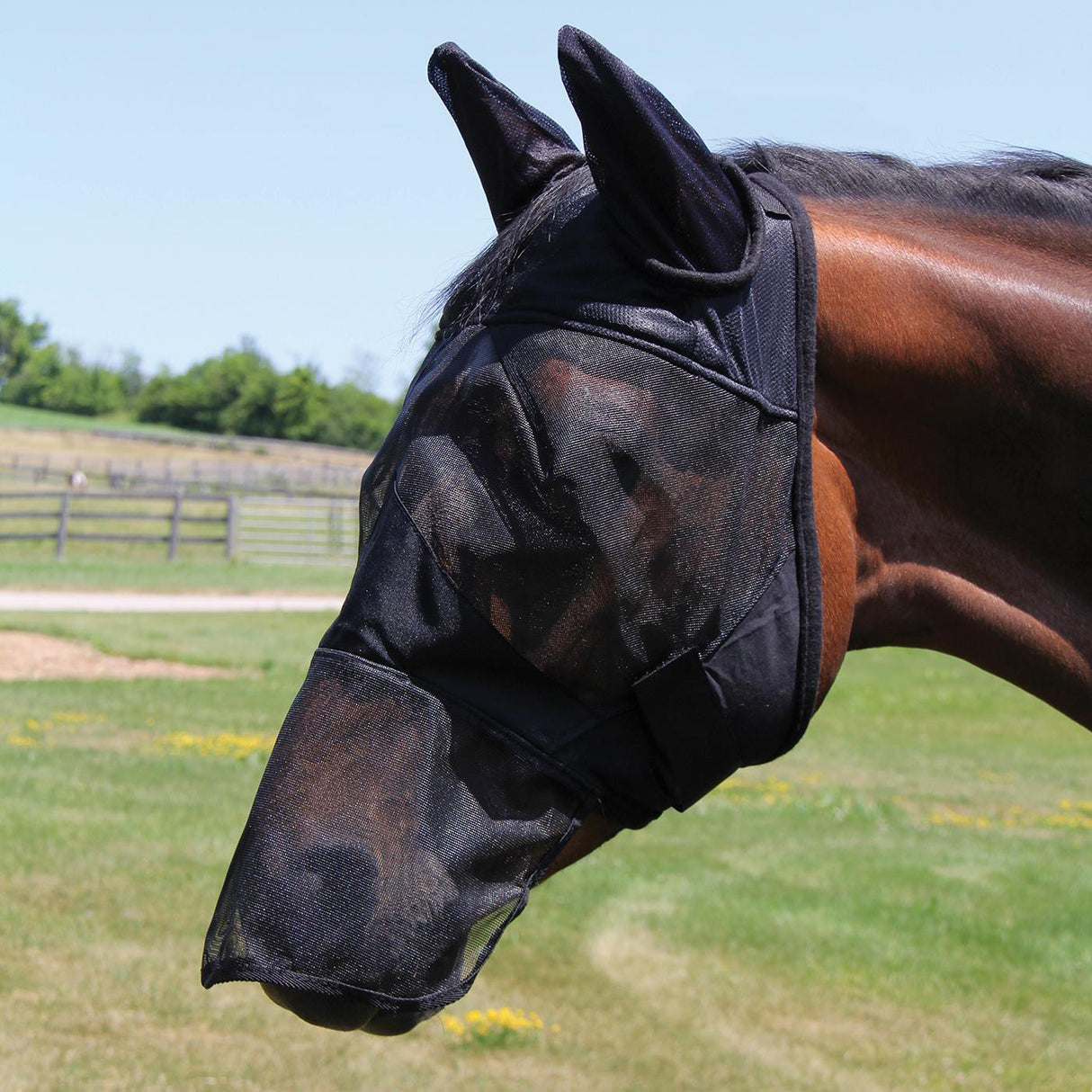 Shedrow Fly Mask W- Ears & Nose Cover