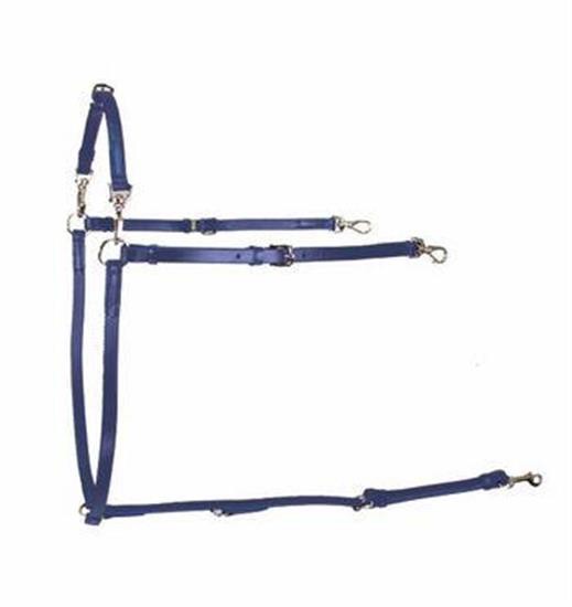 Collier de poitrine Gaitmaster Buxton