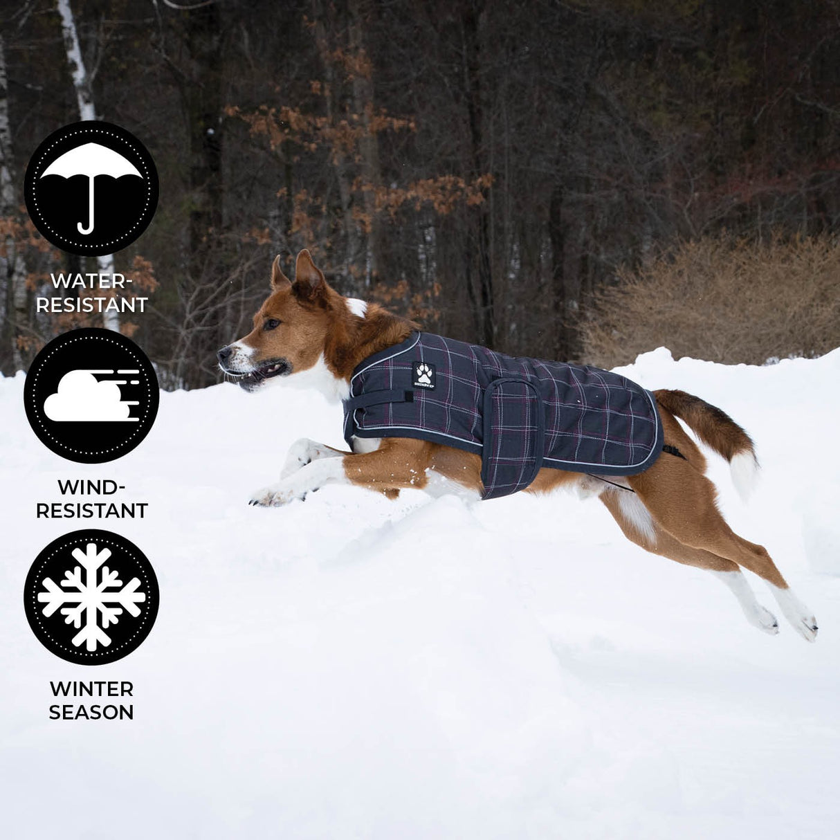 Manteau pour chien Shedrow K9 Glacier