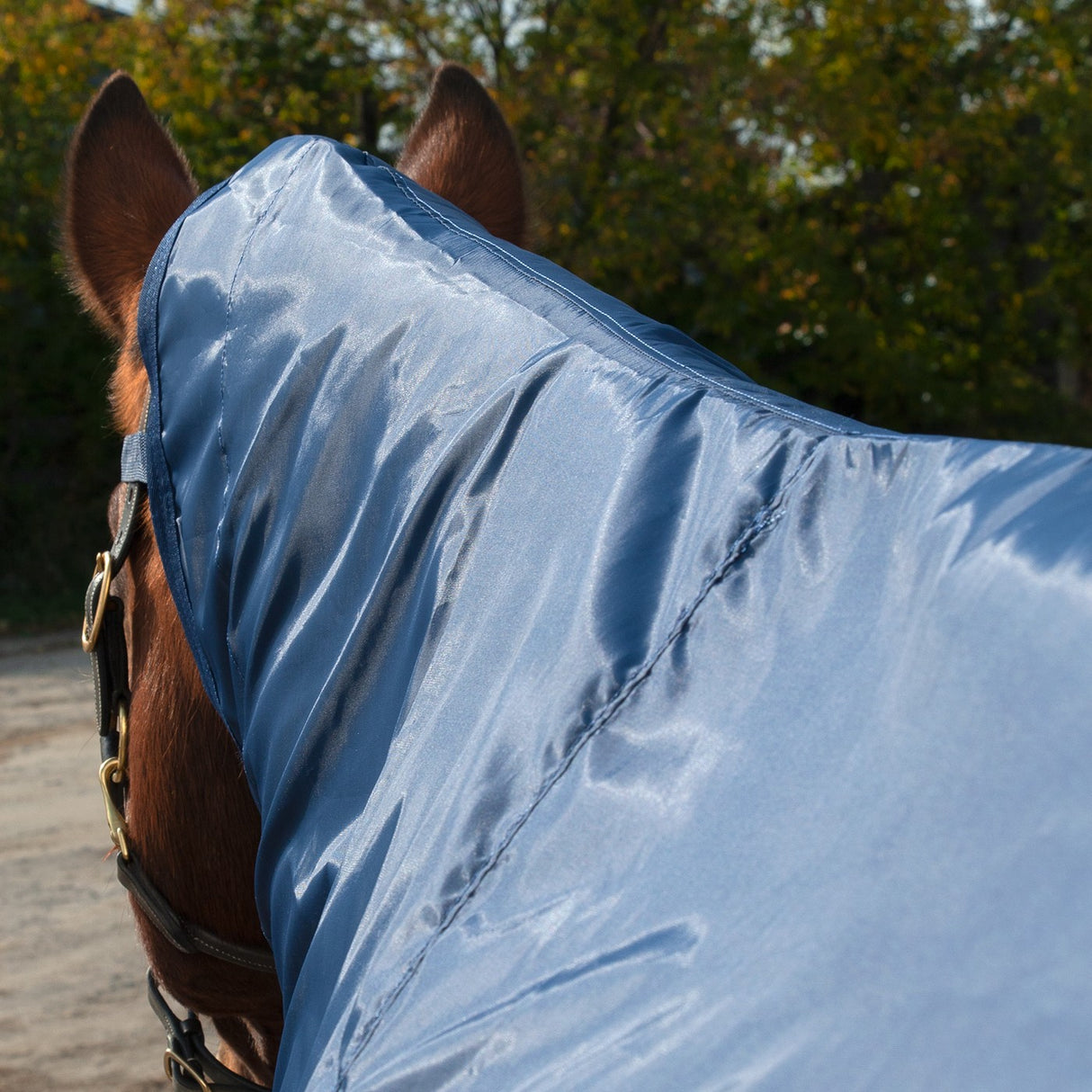 Shedrow Ringside Rainsheet