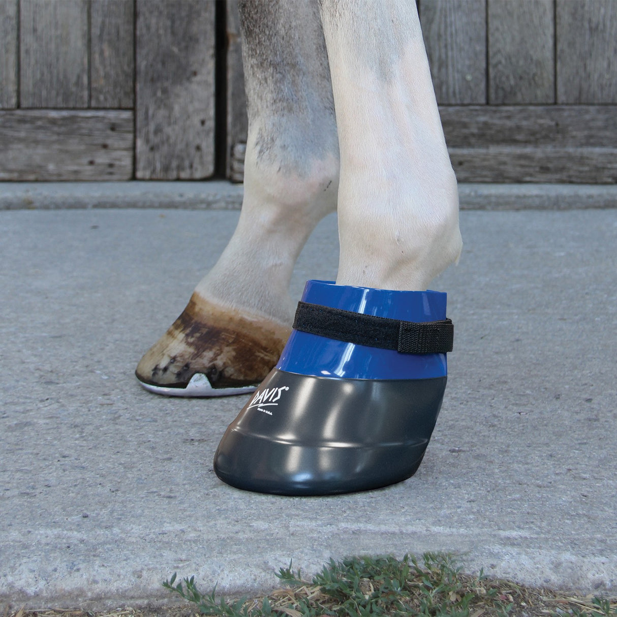 Davis Horse Boot