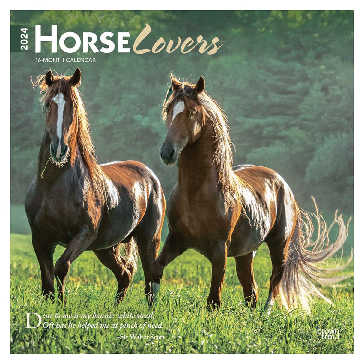 Calendrier carré 2024 des amoureux des chevaux BrownTrout