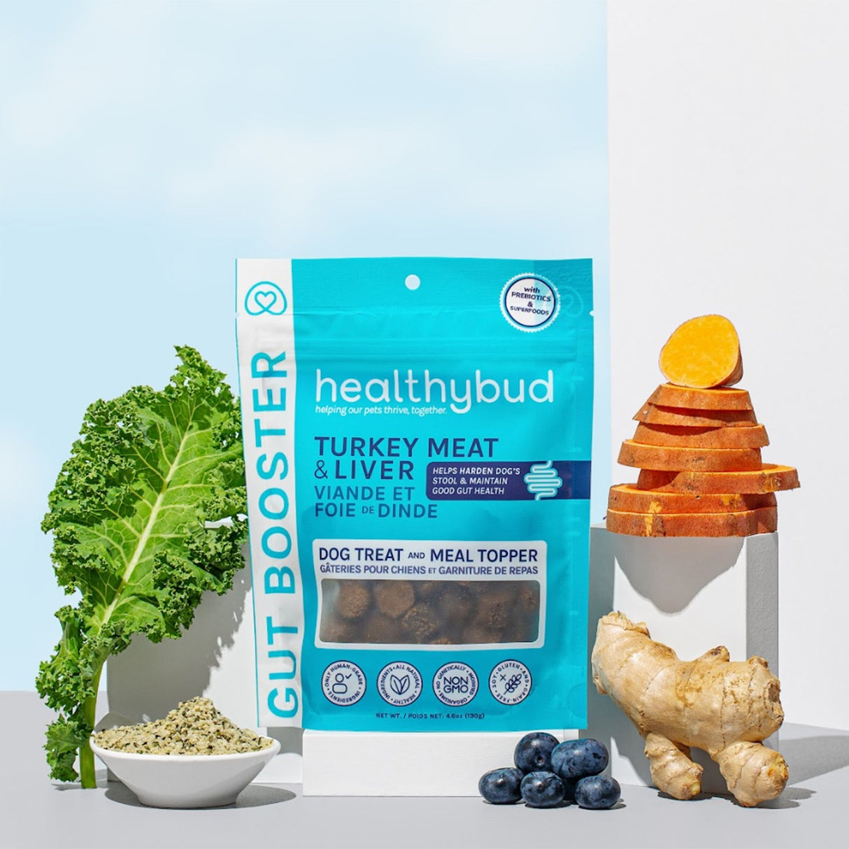 Supplément pour chien Healthybud Gut Booster 4,6 oz