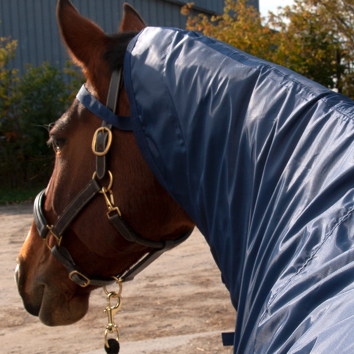 Shedrow Ringside Rainsheet